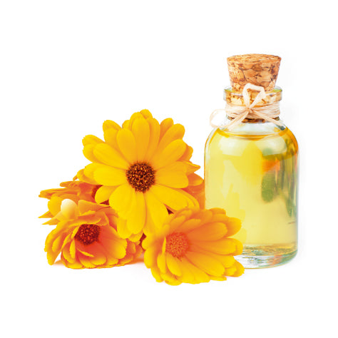 Tratamiento Anti-Aging Infalible: Crema + Serum + Aceite + Contorno